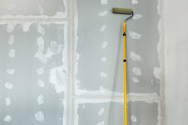 Mold Remediation for Rental Properties in East Bronson, FL