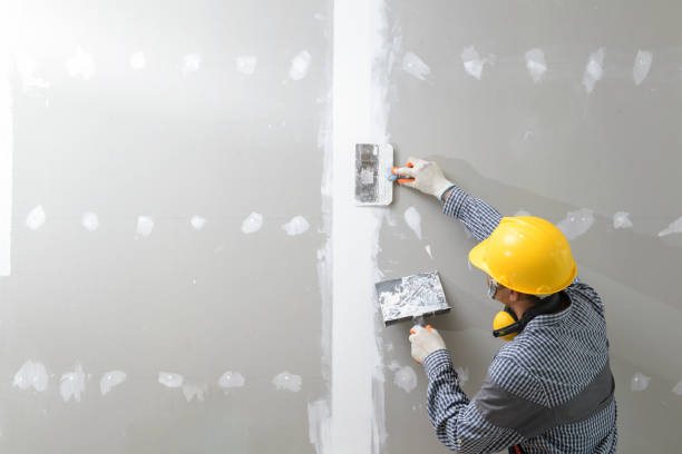 Best Mold Removal for HVAC Installations  in East Bronson, FL