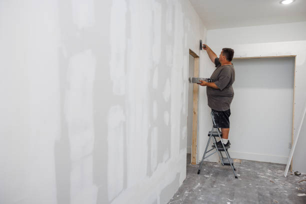 Best Mold Odor Removal Services  in East Bronson, FL