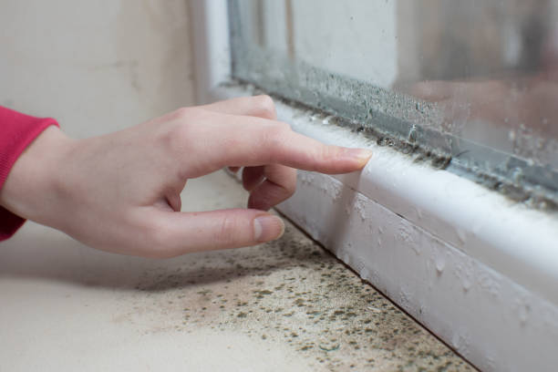 Best HVAC Mold Inspection and Cleaning  in East Bronson, FL