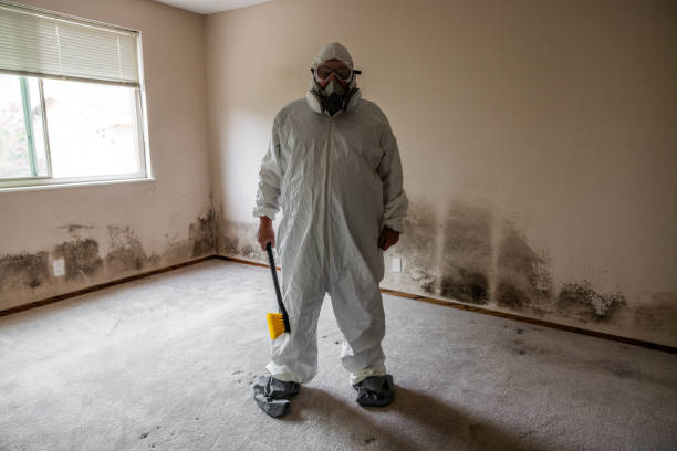 Best Dehumidification Services  in East Bronson, FL