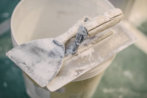 Best Attic Mold Removal  in East Bronson, FL